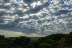 DSC03008