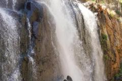 DSC03340