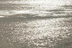 DSC04201
