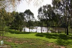 DSC04743