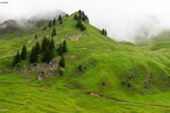 DSC06996