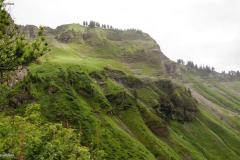 DSC07005