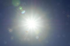DSC07619