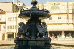 DSC09003
