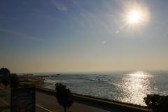 DSC09011