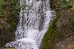 SONY DSC