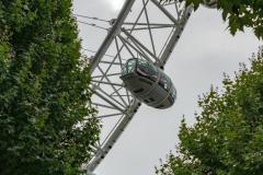 RMA06570