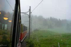 DSC03999