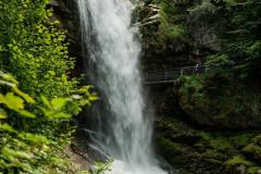 DSC04099