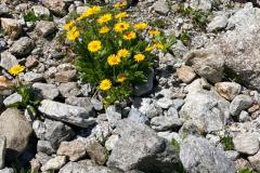 image00054