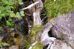 image00091
