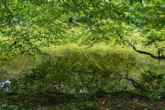 DSC05091