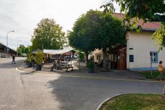 DSC05166
