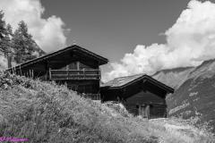 DSC0549