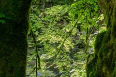 DSC0807