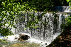 DSC0812