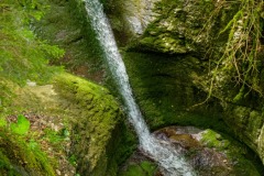 DSC0877