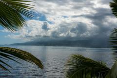 DSC09054