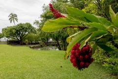 DSC09095