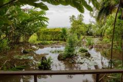 DSC09100