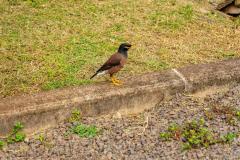 DSC00195