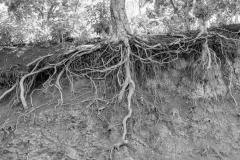 DSC00636