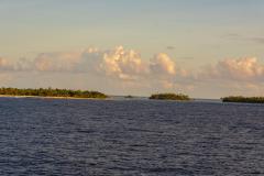 DSC00880