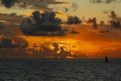 DSC00890