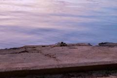 DSC00950