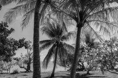DSC00989
