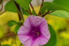 DSC01020