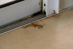 DSC01050