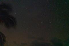DSC01193