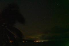 DSC01196