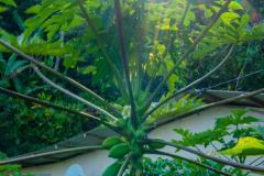DSC01809