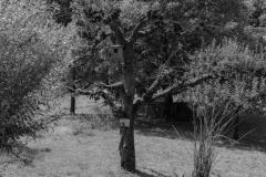 DSC00121