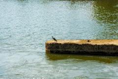 DSC00127