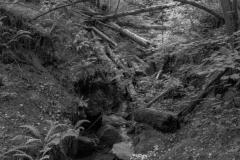 DSC00219