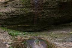 DSC00250