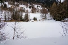 DSC02524