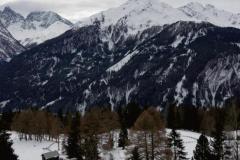 DSC02534