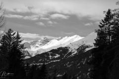 DSC02551