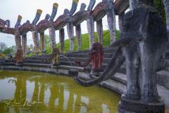 DSC03099