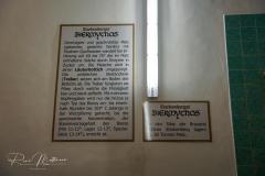 DSC03113