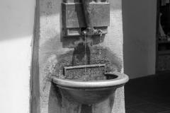 DSC03238