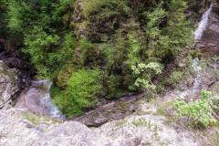 DSC03346