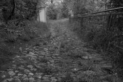 DSC03409