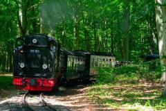 RMA04463
