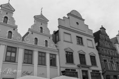 RMA05197
