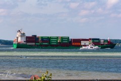 RMA05425